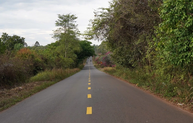 Chấp thuận nh&agrave; đầu tư đề xuất triển khai đường nối cầu M&atilde; Đ&agrave; với V&agrave;nh đai 4 TP.HCM- Ảnh 2.