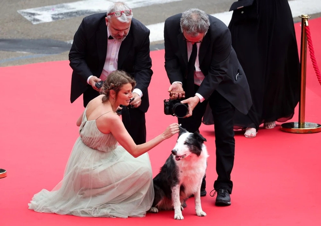 Chú chó Messi tạo dáng gây sốt trên thảm đỏ LHP Cannes cùng các ngôi sao thế giới- Ảnh 3.