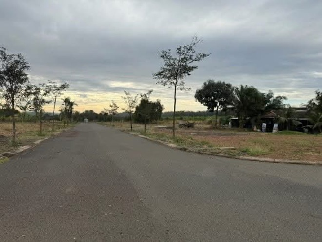 Hai l&atilde;nh đạo c&ocirc;ng ty bất động sản bị bắt v&igrave; chiếm đoạt gần 100 tỷ đồng của kh&aacute;ch mua dự &aacute;n- Ảnh 4.