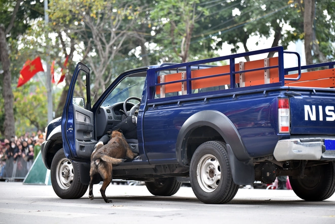 Mãn nhãn màn biểu diễn tấn công tội phạm của lực lượng cảnh khuyển, kỵ binh- Ảnh 10.