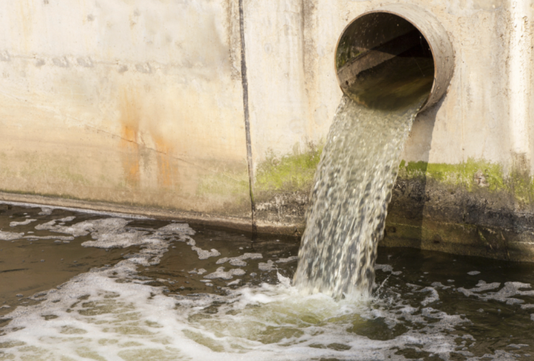 C&ocirc;ng ty gia c&ocirc;ng b&oacute;ng đ&egrave;n v&agrave; k&iacute;nh bị xử phạt 1,1 tỷ v&igrave; vi phạm m&ocirc;i trường - Ảnh 1.