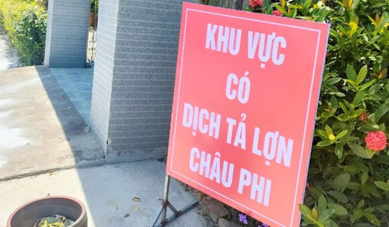 Dịch tả lợn ch&acirc;u Phi b&ugrave;ng ph&aacute;t trở lại, đ&atilde; ti&ecirc;u hủy hơn 34.000 con lợn - Ảnh 1.