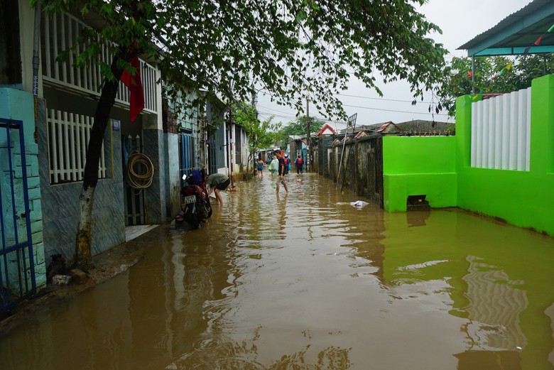 Người Đ&agrave; Nẵng tất tả dọn b&ugrave;n non sau lụt - Ảnh 10.