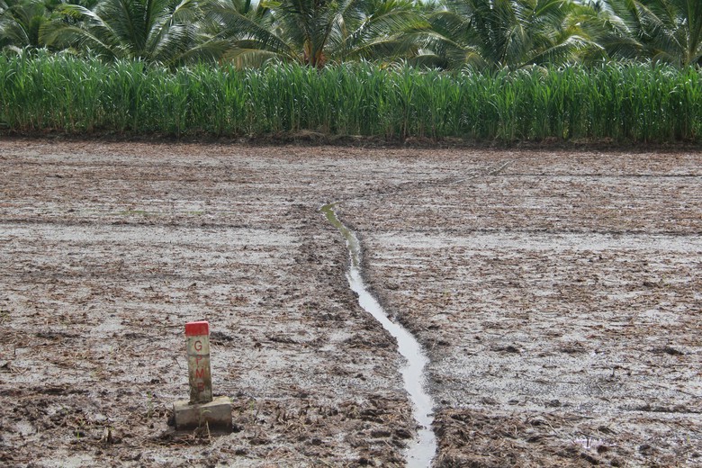 Lấy ý kiến làm đường ven biển hơn 9.000 tỷ đồng qua Trà Vinh - Ảnh 1. Lấy ý kiến làm đường ven biển hơn 9.000 tỷ đồng qua Trà Vinh - Ảnh 1.