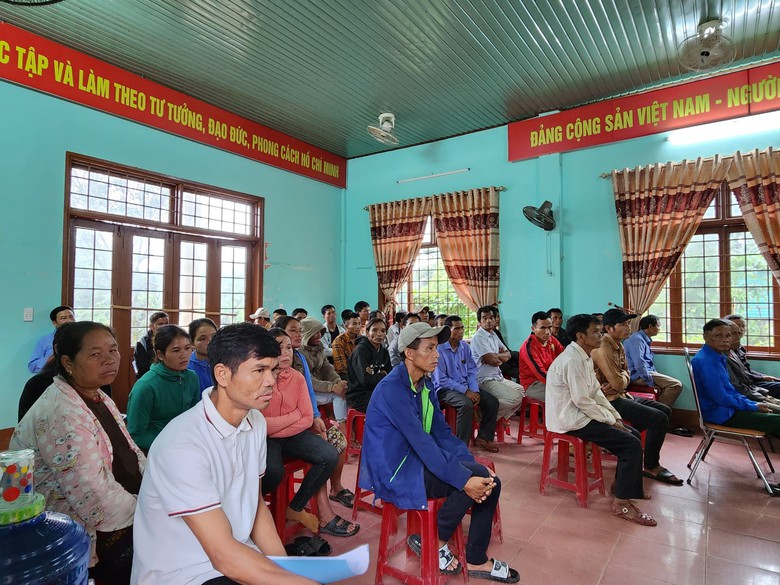 Tin mới vụ ph&aacute; rừng, chiếm 30ha đất hy hữu ở Quảng Trị - Ảnh 2.