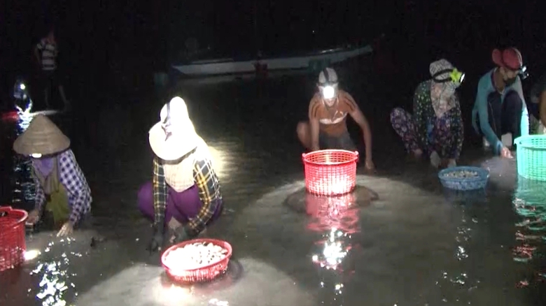 Lạ miệng với sản phẩm nghêu khô ở Đất Mũi - Ảnh 2. Lạ miệng với sản phẩm nghêu khô ở Đất Mũi - Ảnh 2.