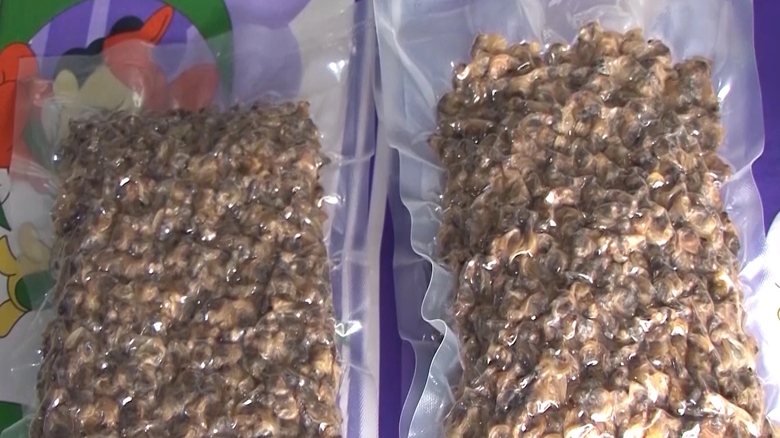 Lạ miệng với sản phẩm nghêu khô ở Đất Mũi - Ảnh 6. Lạ miệng với sản phẩm nghêu khô ở Đất Mũi - Ảnh 6.