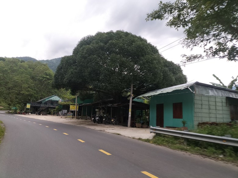 Tai nạn r&igrave;nh rập tr&ecirc;n đ&egrave;o Ngoạn Mục, QL27 - Ảnh 3.