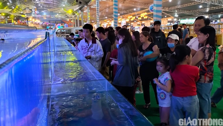 Du kh&aacute;ch th&iacute;ch th&uacute; tận thấy t&ocirc;m s&uacute; sống "khổng lồ" tại Festival T&ocirc;m C&agrave; Mau - Ảnh 7.