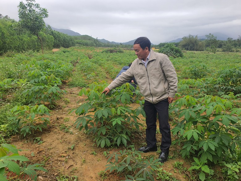 Gi&aacute;m đốc Sở Khoa học v&agrave; c&ocirc;ng nghệ Quảng Ng&atilde;i sai phạm những g&igrave;? - Ảnh 2.