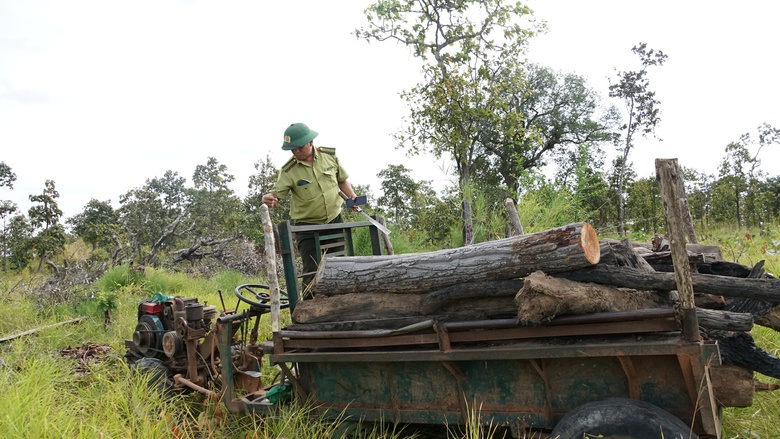 Gia Lai: Tan hoang rừng ph&ograve;ng hộ bị đưa ra khỏi quy hoạch rừng - Ảnh 1.