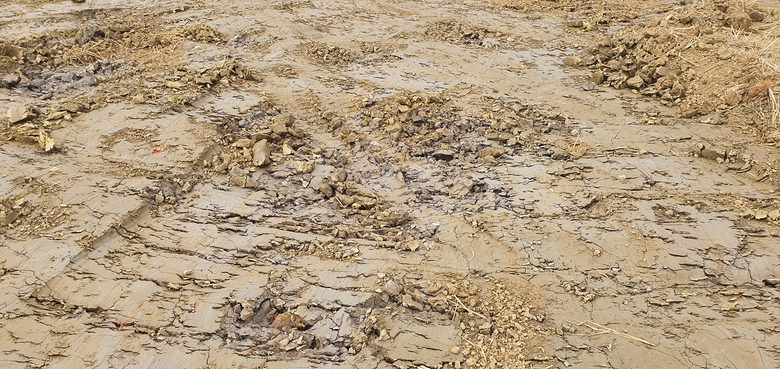 Hải Ph&ograve;ng: Những c&aacute;nh đồng trơ trọi v&igrave; &ldquo;đất tặc&rdquo; - Ảnh 2.