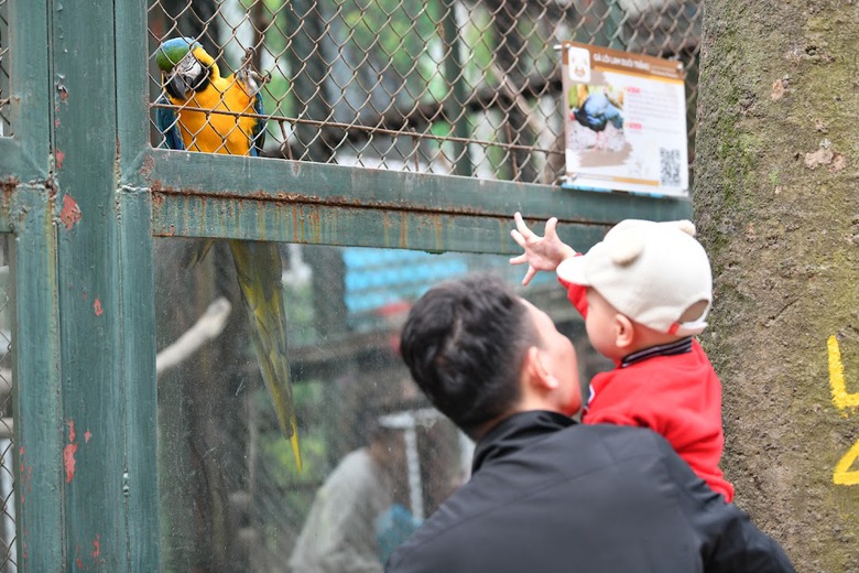 Người d&acirc;n dựng lều, trải bạt, đổ x&ocirc; về c&aacute;c c&ocirc;ng vi&ecirc;n ở H&agrave; Nội dịp nghỉ tết - Ảnh 4.