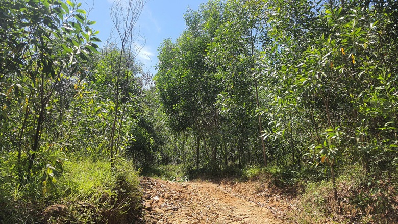 Chậm ra mỏ vật liệu cản tiến độ cao tốc Quảng Ng&atilde;i-Ho&agrave;i Nhơn - Ảnh 2.