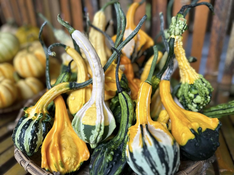 H&iacute;t h&agrave; kh&ocirc;ng kh&iacute; ấm c&uacute;ng ở chợ phi&ecirc;n tr&ecirc;n cao nguy&ecirc;n Măng Đen - Ảnh 8.