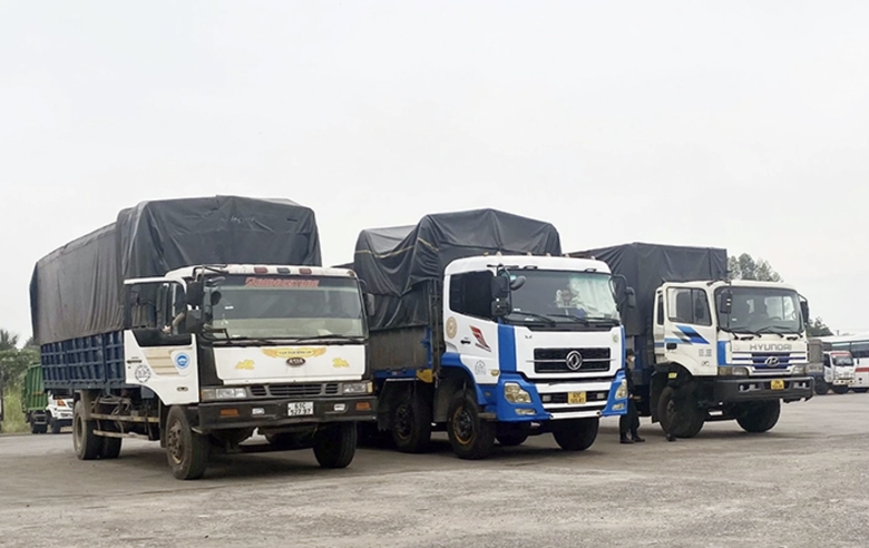 T&agrave;i xế đổ nước v&agrave;o k&eacute;t tự chế tr&ecirc;n xe tải để c&acirc;n gian trọng lượng h&agrave;ng phế liệu - Ảnh 1.