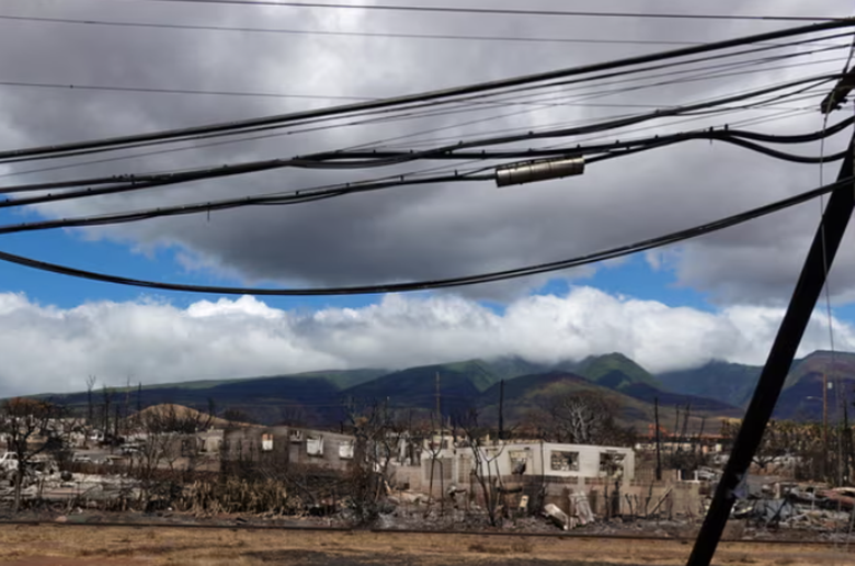 Đ&atilde; x&aacute;c định nguy&ecirc;n nh&acirc;n g&acirc;y ch&aacute;y rừng Hawaii? - Ảnh 1.