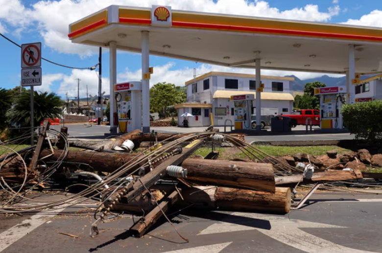 Đ&atilde; x&aacute;c định nguy&ecirc;n nh&acirc;n g&acirc;y ch&aacute;y rừng Hawaii? - Ảnh 2.