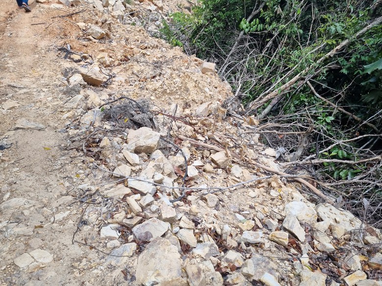 B&igrave;nh Định: "Hạ s&aacute;t" rừng ph&ograve;ng hộ để mở đường l&ecirc;n khu vực khai th&aacute;c gỗ - Ảnh 7.