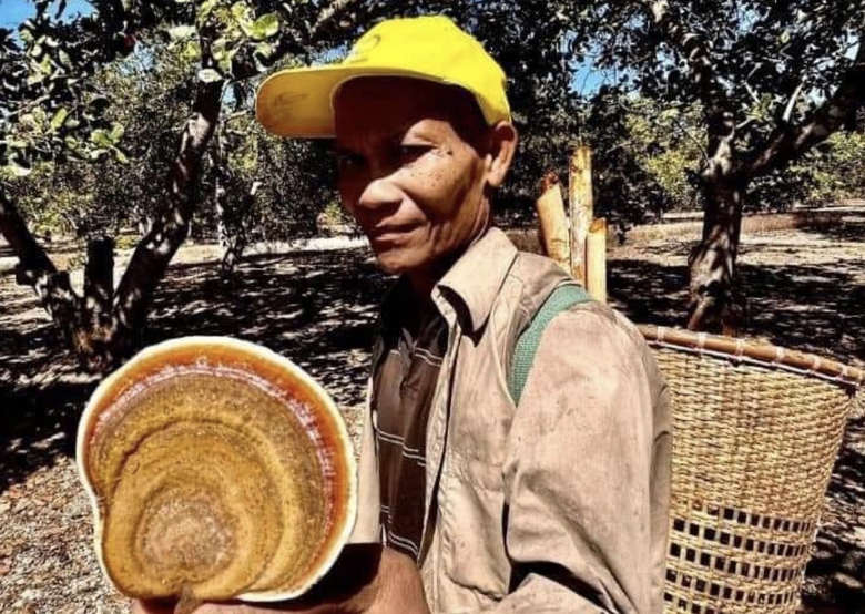 T&igrave;m thấy thi thể gi&agrave; l&agrave;ng sau ba tuần đi lạc trong rừng C&aacute;t Ti&ecirc;n - Ảnh 1.