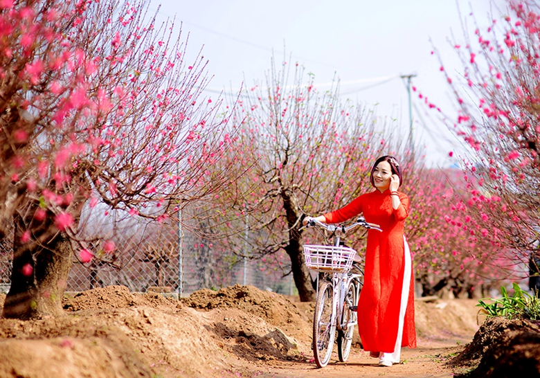 Bộ Nội vụ thống nhất nghỉ tết Nguy&ecirc;n đ&aacute;n 2024 k&eacute;o d&agrave;i 7 ng&agrave;y - Ảnh 1.