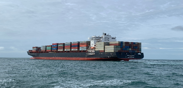 Cứu kịp thời hai thuyền vi&ecirc;n nước ngo&agrave;i bị nạn tr&ecirc;n v&ugrave;ng biển Vũng T&agrave;u - Ảnh 1.