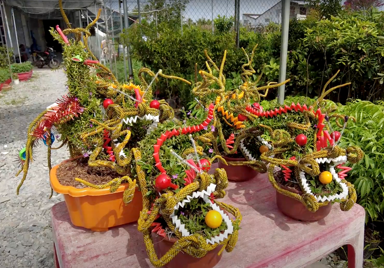 H&agrave;ng ngh&igrave;n chậu mai Cẩm T&uacute; h&igrave;nh long phụng gi&aacute; 150.000 đồng chờ kh&aacute;ch rước về đ&oacute;n Tết- Ảnh 3.