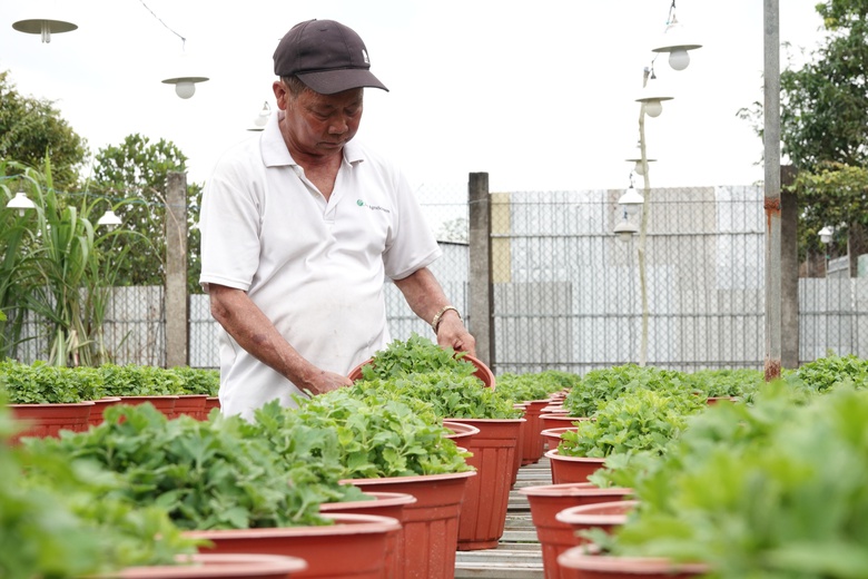 Làng hoa trăm tuổi ở Cần Thơ vào vụ Tết- Ảnh 1. Làng hoa trăm tuổi ở Cần Thơ vào vụ Tết- Ảnh 1.