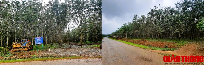 Ngổn ngang c&aacute;c khu t&aacute;i định cư cao tốc Bắc - Nam qua Quảng Trị - Ảnh 5.