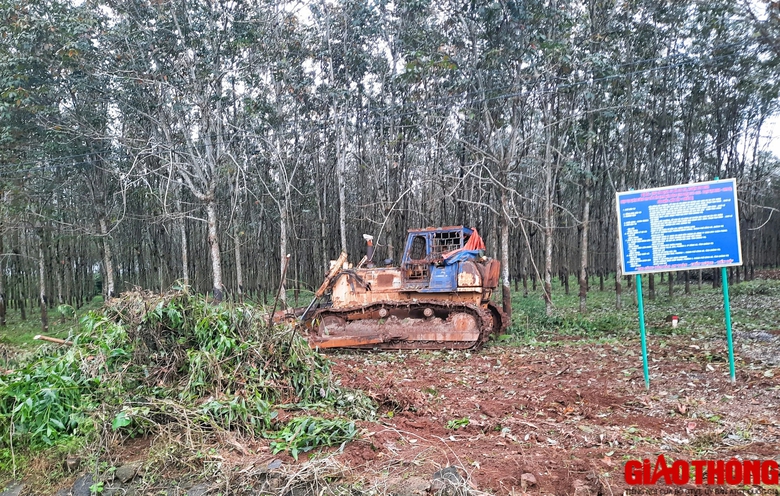 Hai khu t&aacute;i định cư cao tốc ở Quảng Trị khi n&agrave;o xong?- Ảnh 3.