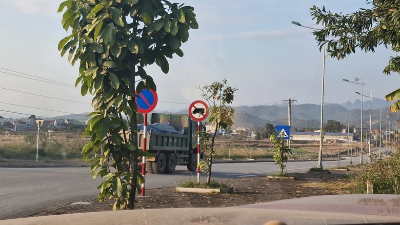 Cao Bằng: Xe chở đất lậu lộng h&agrave;nh, phớt lờ biển cấm- Ảnh 1.