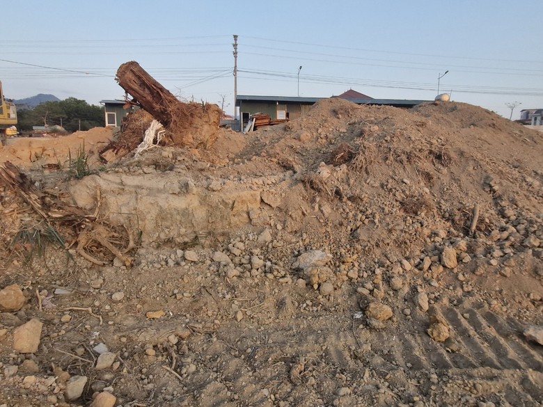 Cao Bằng: Xe chở đất lậu lộng h&agrave;nh, phớt lờ biển cấm- Ảnh 8.