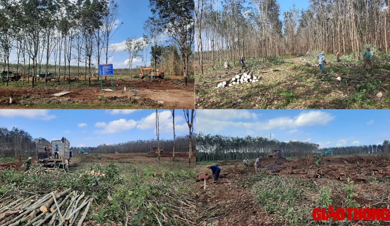 Quảng Trị: Đẩy tiến độ x&acirc;y dựng c&aacute;c khu t&aacute;i định cư cao tốc Vạn Ninh - Cam Lộ- Ảnh 5.