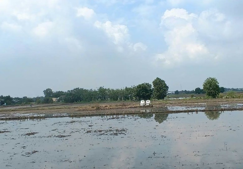 Long An ra tối hậu thư x&acirc;y khu t&aacute;i định cư dự &aacute;n đường tỉnh 830E- Ảnh 1.