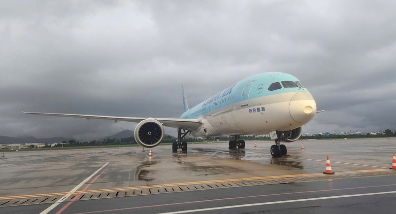 Máy bay từ Đà Nẵng đi Hàn Quốc bị móp đầu, phải hủy chuyến- Ảnh 1. Máy bay từ Đà Nẵng đi Hàn Quốc bị móp đầu, phải hủy chuyến- Ảnh 1.