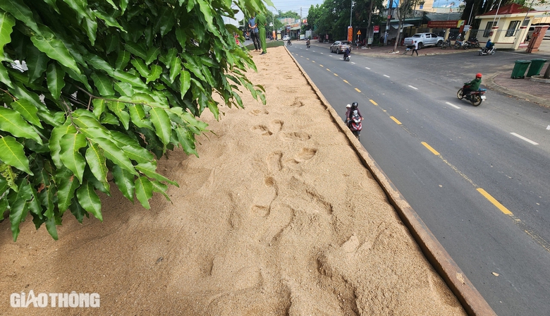 Gia Lai chỉ đạo xử l&yacute; khai th&aacute;c c&aacute;t tr&aacute;i ph&eacute;p, chở qu&aacute; tải sau phản &aacute;nh của B&aacute;o Giao th&ocirc;ng- Ảnh 4.