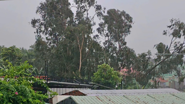 Bão Trà Mi suy yếu thành áp thấp nhiệt đới- Ảnh 22. Bão Trà Mi suy yếu thành áp thấp nhiệt đới- Ảnh 22.