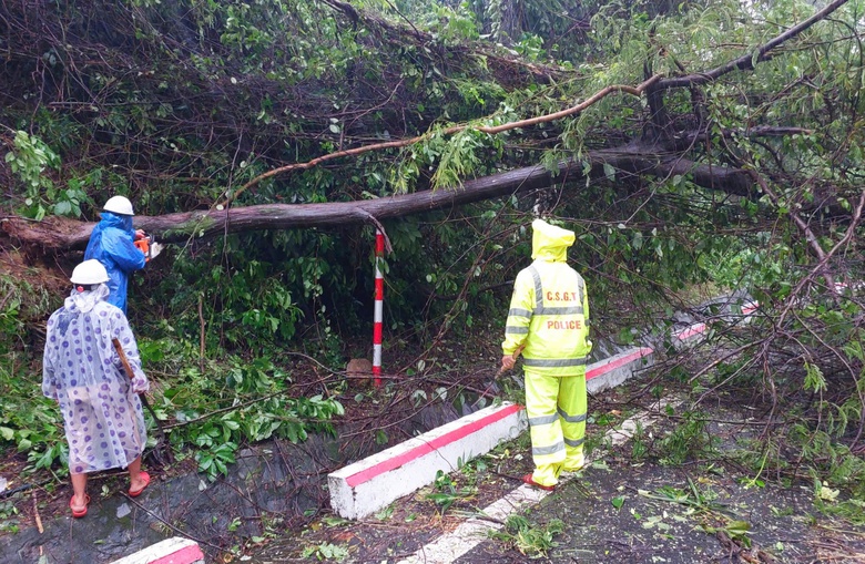 Bão Trà Mi suy yếu thành áp thấp nhiệt đới- Ảnh 6. Bão Trà Mi suy yếu thành áp thấp nhiệt đới- Ảnh 6.
