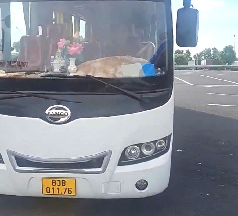 Phạt tại chỗ t&agrave;i xế xe kh&aacute;ch đi l&ugrave;i tr&ecirc;n cao tốc Long Th&agrave;nh - Dầu Gi&acirc;y- Ảnh 1.