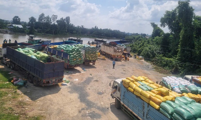 Đ&igrave;nh chỉ chợ l&uacute;a gạo tự ph&aacute;t dưới ch&acirc;n cầu ở bi&ecirc;n giới Ki&ecirc;n Giang- Ảnh 2.