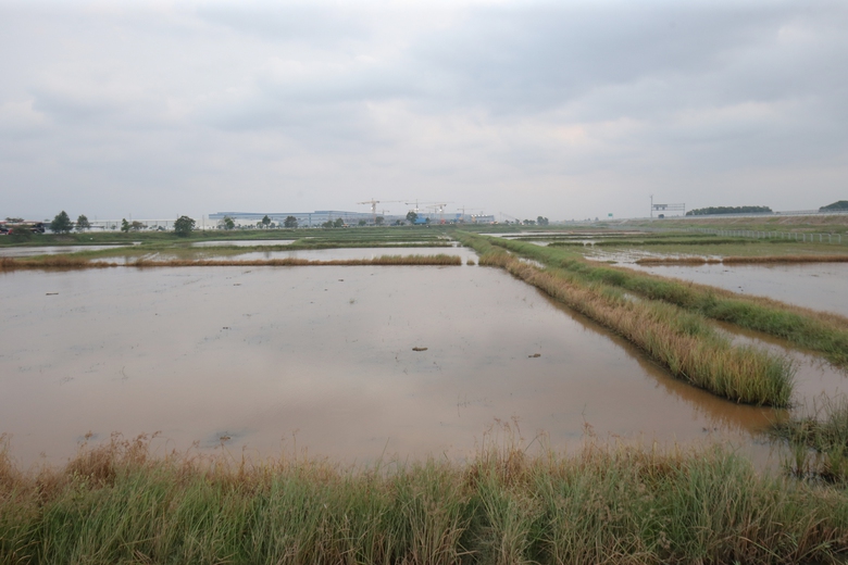 To&agrave;n cảnh khu vực đặt nh&agrave; ga đường sắt tốc độ cao trục Bắc - Nam qua Nghệ An- Ảnh 12.