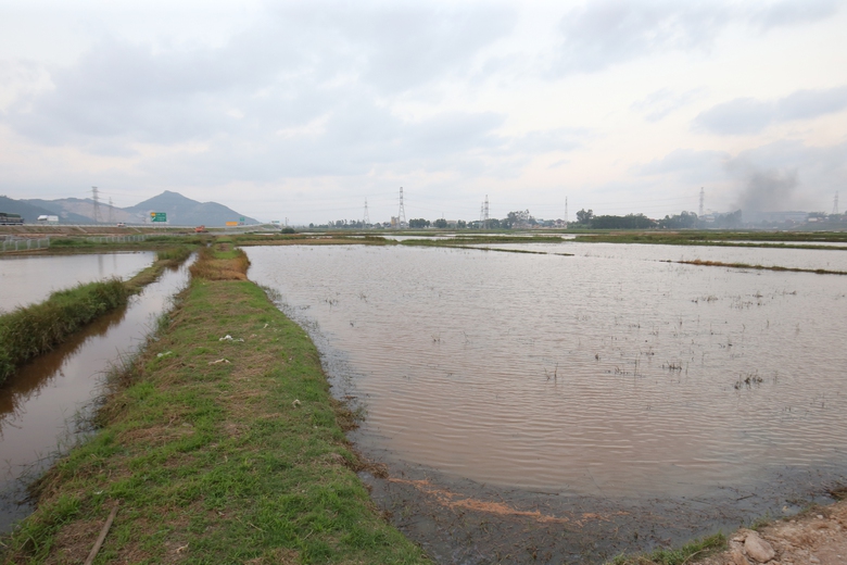 To&agrave;n cảnh khu vực đặt nh&agrave; ga đường sắt tốc độ cao trục Bắc - Nam qua Nghệ An- Ảnh 9.