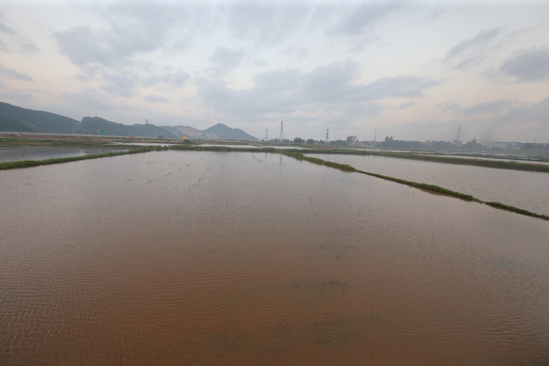 To&agrave;n cảnh khu vực đặt nh&agrave; ga đường sắt tốc độ cao trục Bắc - Nam qua Nghệ An- Ảnh 11.