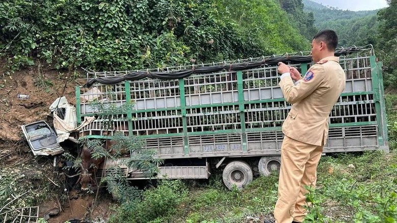 Xe tải chở b&ograve; mất l&aacute;i đ&acirc;m v&agrave;o ch&acirc;n đồi, t&agrave;i xế tử vong- Ảnh 1.