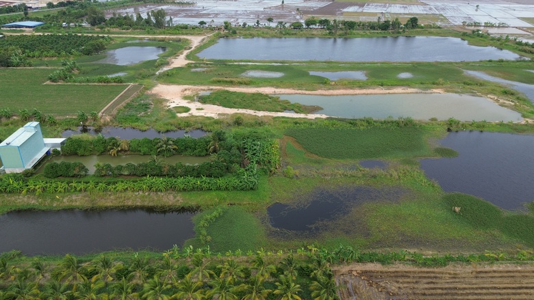 Hiện trường khai th&aacute;c tr&aacute;i ph&eacute;p 875.000m3 đất của C&ocirc;ng ty X&acirc;y lắp An Giang- Ảnh 3.