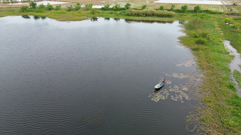 Hiện trường khai th&aacute;c tr&aacute;i ph&eacute;p 875.000m3 đất của C&ocirc;ng ty X&acirc;y lắp An Giang- Ảnh 4.