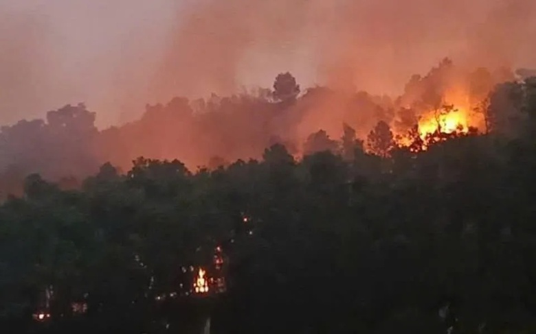 H&agrave; Nội đề nghị c&ocirc;ng an v&agrave;o cuộc điều tra c&aacute;c vụ ch&aacute;y rừng tại huyện S&oacute;c Sơn- Ảnh 1.