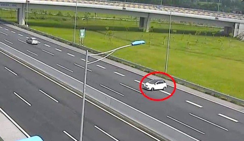 Thuốc đắng dã tật- Ảnh 1. Thuốc đắng dã tật- Ảnh 1.