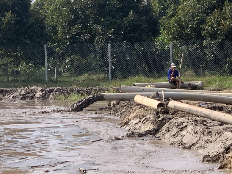 Hối hả tr&ecirc;n c&ocirc;ng trường cao tốc Cao L&atilde;nh - An Hữu ng&agrave;y Tết- Ảnh 3.