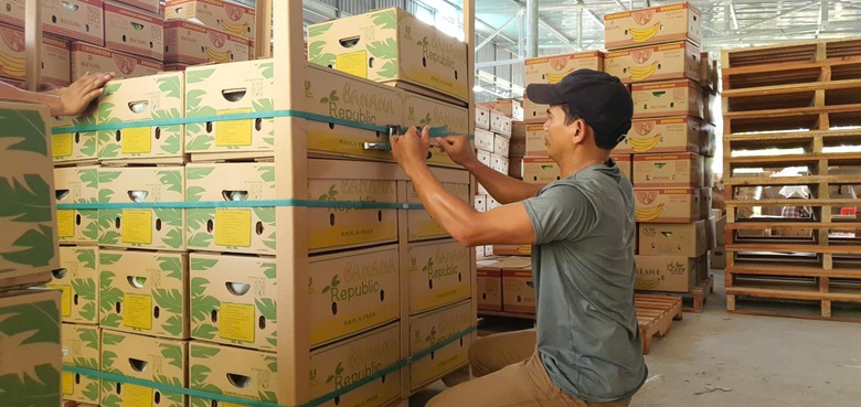 Quảng Ng&atilde;i đồng h&agrave;nh c&ugrave;ng n&ocirc;ng d&acirc;n đưa sản phẩm n&ocirc;ng nghiệp xuất khẩu- Ảnh 3.